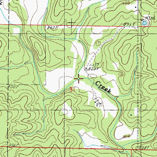 Topographic Map of Water Branch, MO