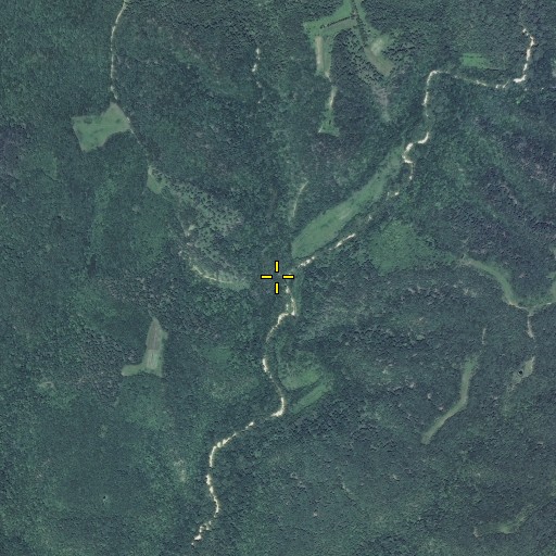 Aerial/Satellite Image of Watkins Branch, MO