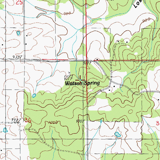 Topographic Map of Watson Spring, MO