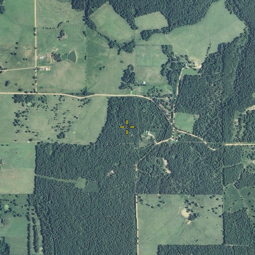 Aerial/Satellite Image of Watson Spring, MO