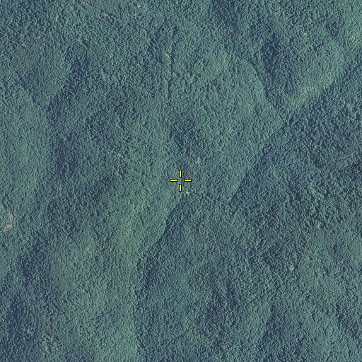 Aerial/Satellite Image of Watson Spring, MO