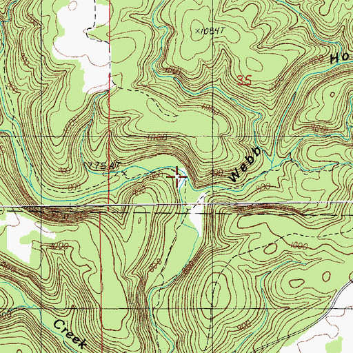 Topographic Map of Webb Hollow, MO