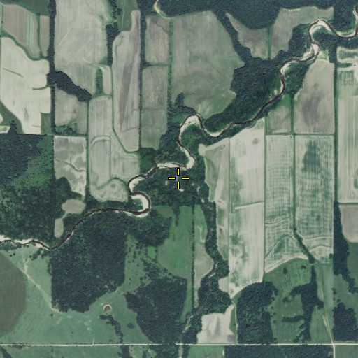 Aerial/Satellite Image of Weldons Branch, MO