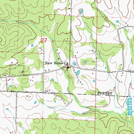 Topographic Map of New Home Church, AR