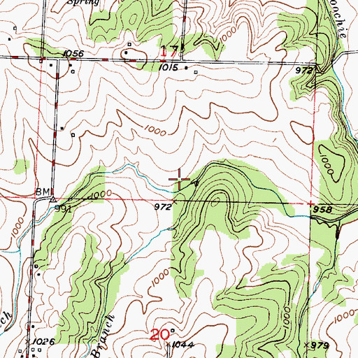 Topographic Map of West Branch Cahoochie Creek, MO