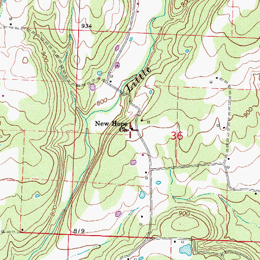 Topographic Map of New Hope Church, AR