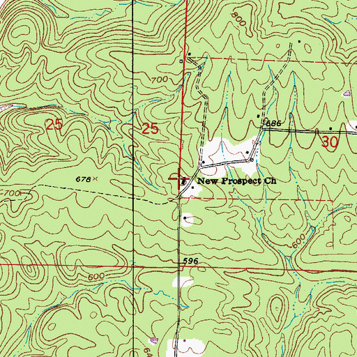 Topographic Map of New Prospect Church, AR