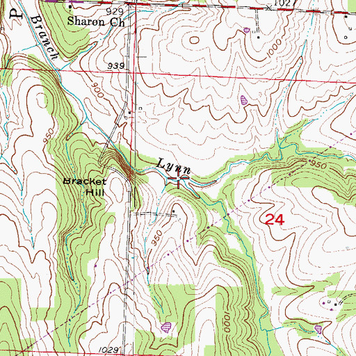 Topographic Map of West Prong Lynn Branch, MO