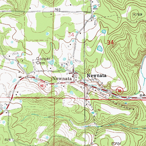 Topographic Map of Newnata, AR