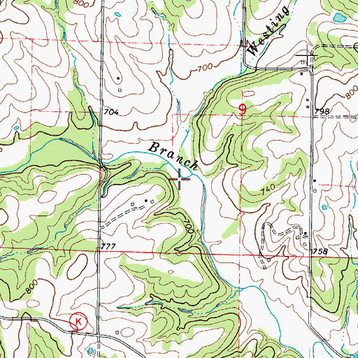 Topographic Map of Westing Branch, MO