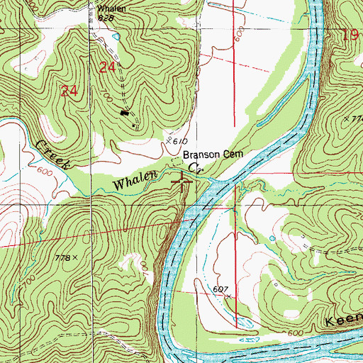 Topographic Map of Whalen Creek, MO