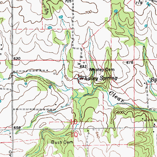 Topographic Map of Whaley Spring, MO