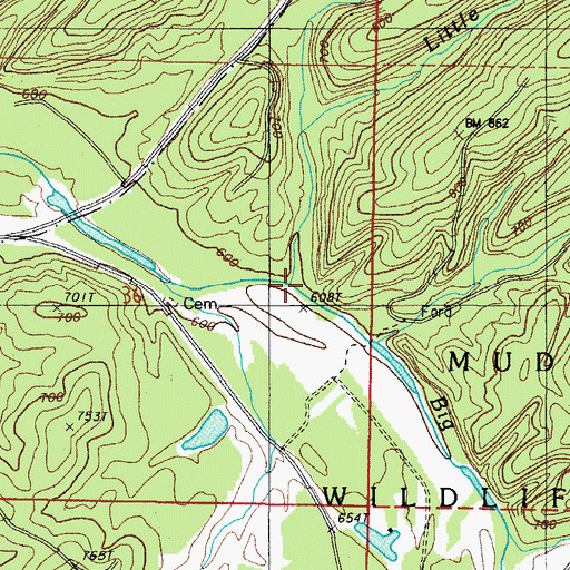 Topographic Map of Nickleson Branch, AR
