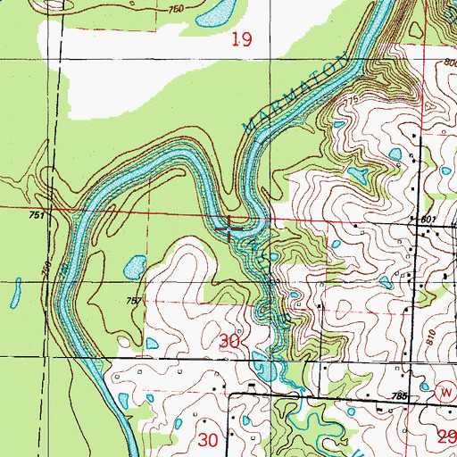 Topographic Map of White Branch, MO