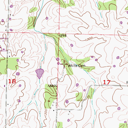Topographic Map of White Cemetery, MO