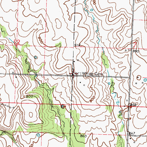 Topographic Map of White Cemetery, MO