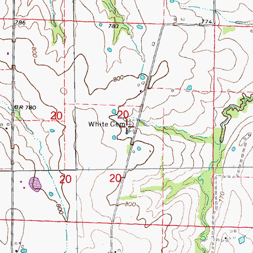 Topographic Map of White Cemetery, MO