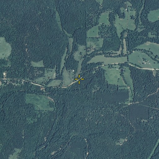 Aerial/Satellite Image of White Hollow, MO