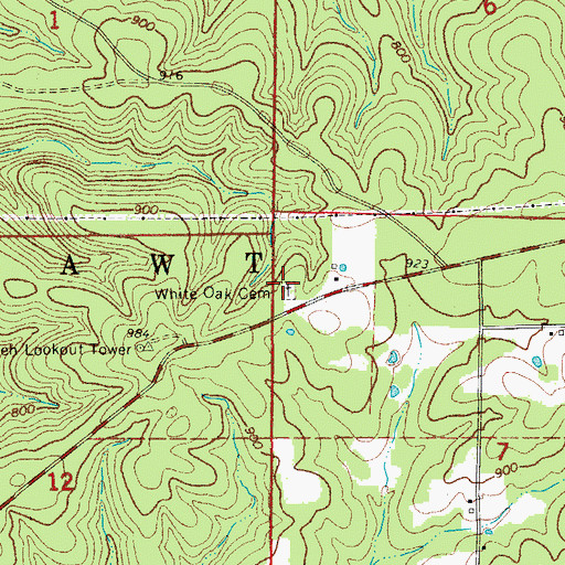 Topographic Map of White Oak Cemetery, MO