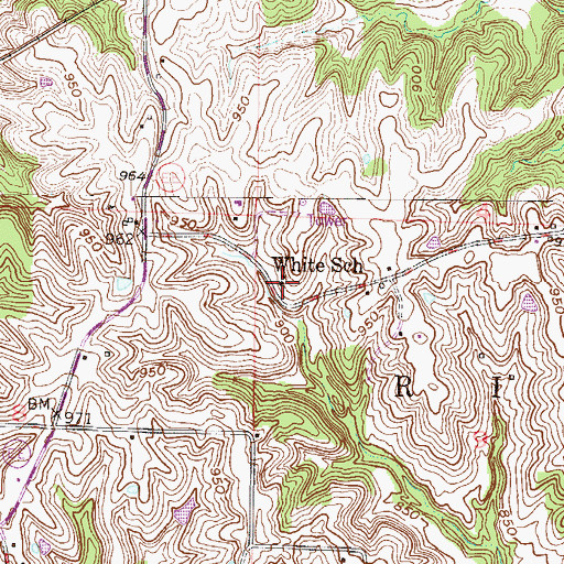 Topographic Map of White School, MO