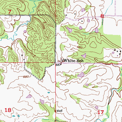 Topographic Map of White School, MO