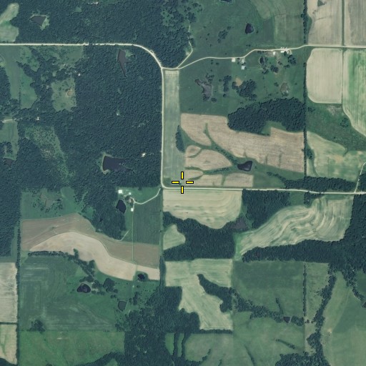 Aerial/Satellite Image of White School, MO