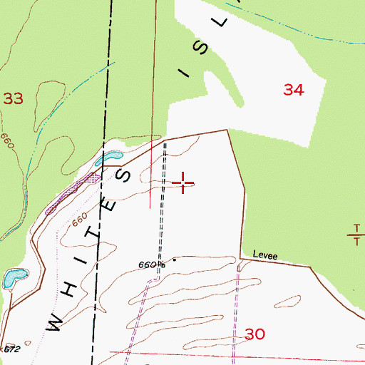 Topographic Map of Whites Island, MO
