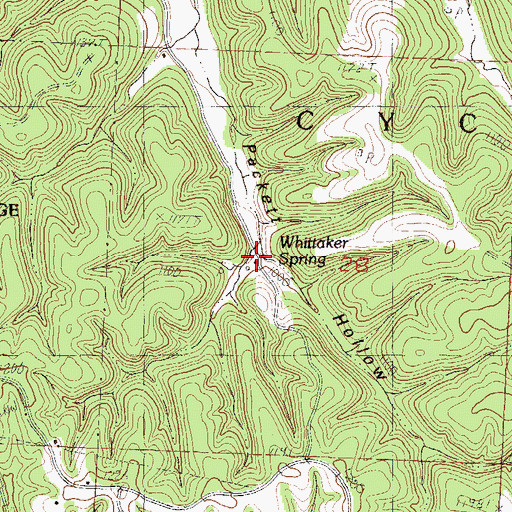Topographic Map of Whittaker Spring, MO