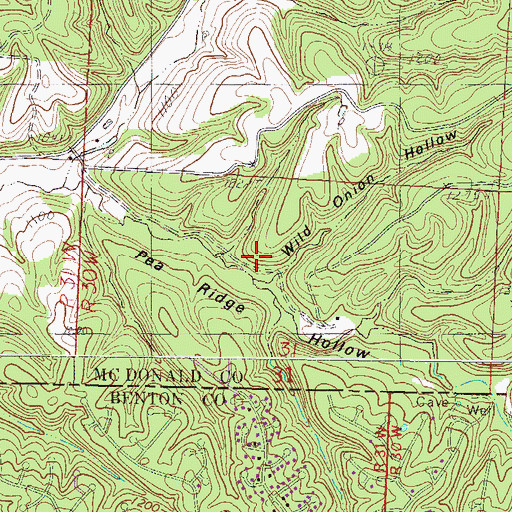 Topographic Map of Wild Onion Hollow, MO