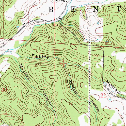 Topographic Map of Wildcat Hollow, MO