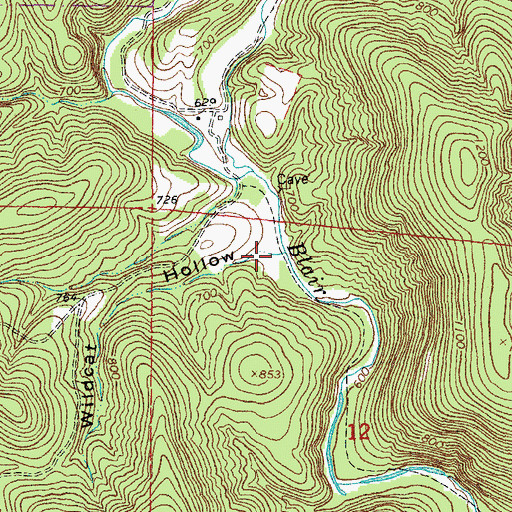 Topographic Map of Wildcat Hollow, MO