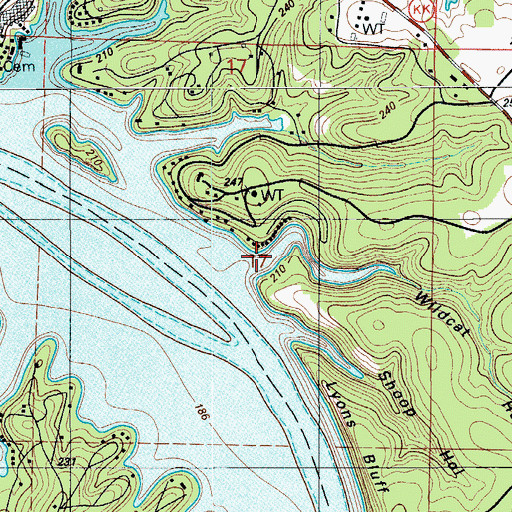 Topographic Map of Wildcat Hollow, MO