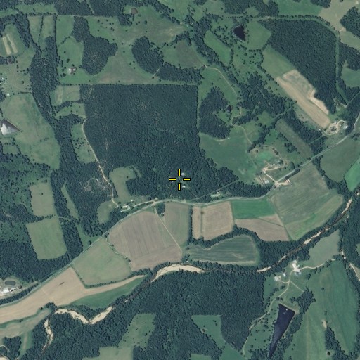 Aerial/Satellite Image of Wiles School, MO