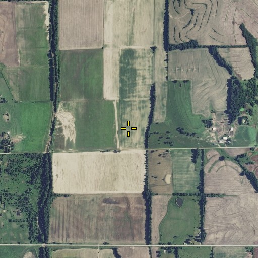 Aerial/Satellite Image of Williams Branch, MO