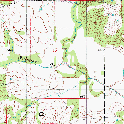 Topographic Map of Williams Branch, MO