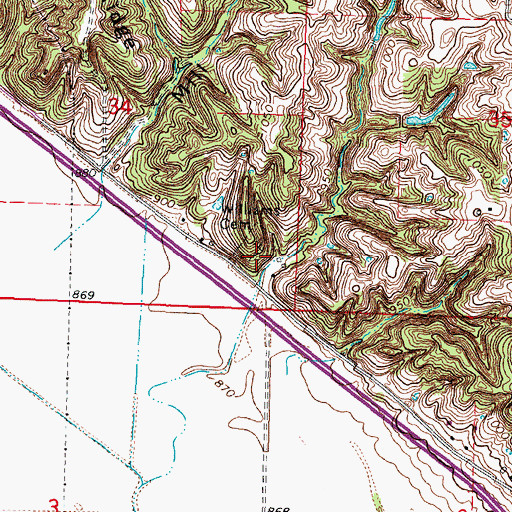 Topographic Map of Williams Cemetery, MO