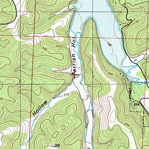 Topographic Map of Williams Hollow, MO