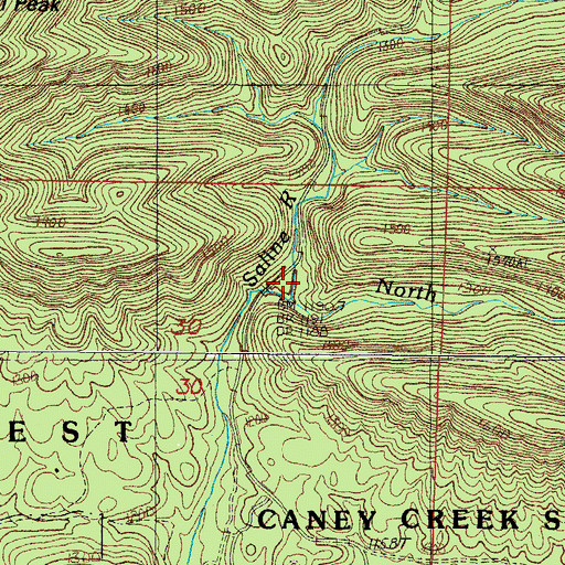 Topographic Map of North Fork Saline River, AR