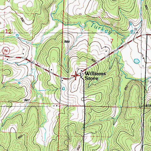 Topographic Map of Williams Store, MO