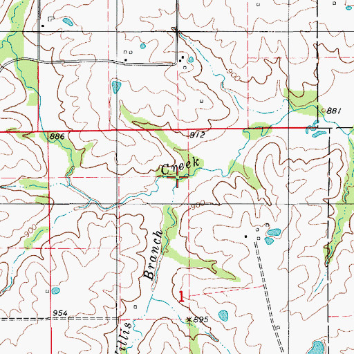 Topographic Map of Willis Branch, MO