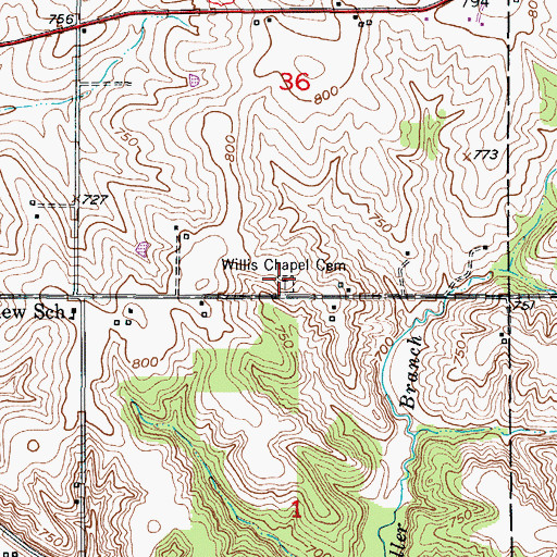 Topographic Map of Willis Chapel Cemetery, MO