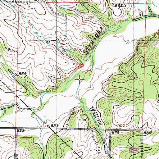 Topographic Map of Willow Branch, MO