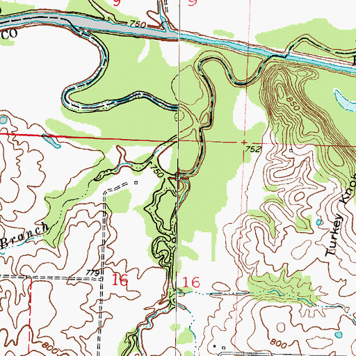 Topographic Map of Willow Branch, MO