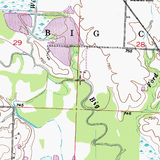 Topographic Map of Willow Branch, MO