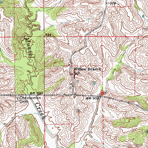 Topographic Map of Willow Branch School, MO