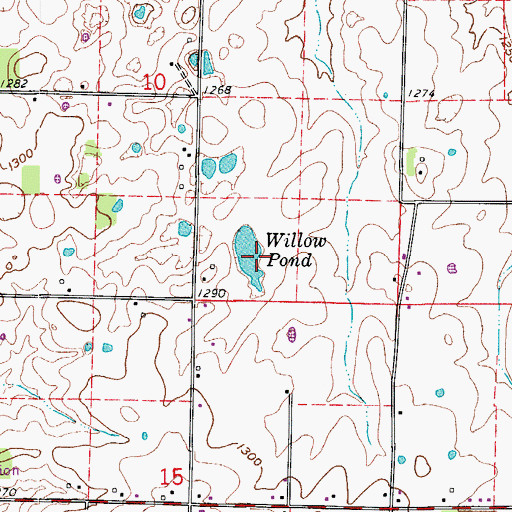 Topographic Map of Willow Pond, MO