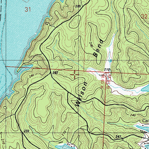 Topographic Map of Wilson Bend, MO