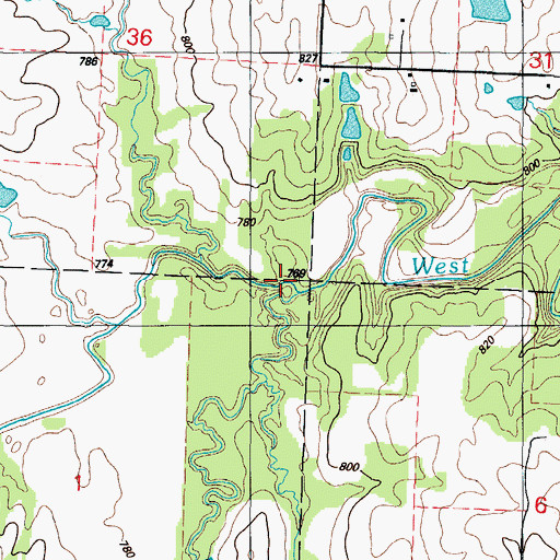 Topographic Map of Wilson Branch, MO