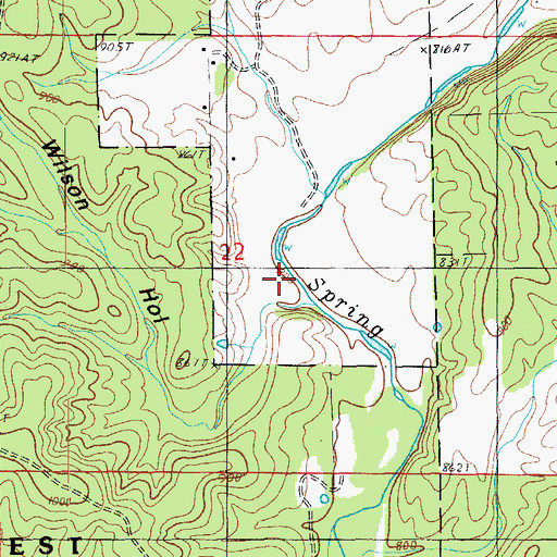 Topographic Map of Wilson Hollow, MO