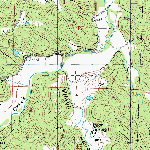 Topographic Map of Wilson Hollow, MO